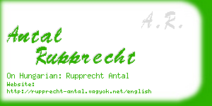 antal rupprecht business card